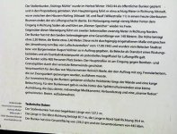 1-491-IMG_5887.JPG