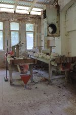 IMG_3305.jpg