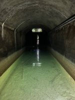 IMG_9708.jpeg
