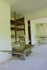 IMG_3387.jpg