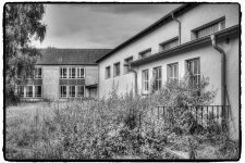 IMG_0428.jpg