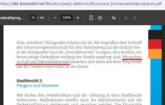 AfD-Fußgänger-und-Fahrradfahrer.jpg