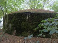 IMG20250904164453.jpg