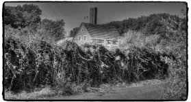 IMG_0473_Fotor.jpg