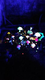 20250913_134942.jpg