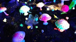 20250913_135006.jpg