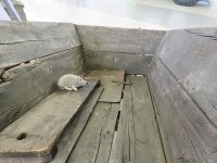 1-174-IMG_6997.JPG
