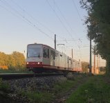 1000053175.jpg 1000053175.jpg