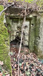 IMG_2431.jpeg