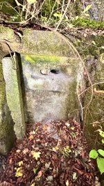 IMG_2427.jpeg