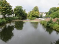 610-IMG_8737.JPG