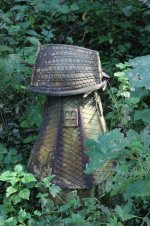 IMG_3877.JPG IMG_3877.JPG