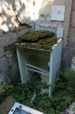 IMG_3905.JPG IMG_3905.JPG