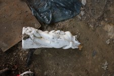 IMG_3908.JPG IMG_3908.JPG