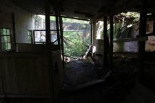 IMG_3913.JPG IMG_3913.JPG