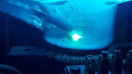 20251026_152043.jpg 20251026_152043.jpg