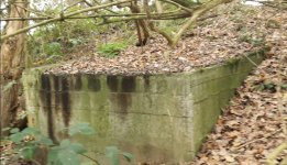 Screenshot_20251030_093137_Video Player.jpg