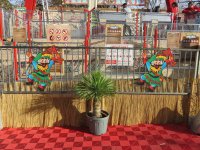 077-IMG_9341.JPG 077-IMG_9341.JPG