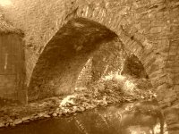 DSC00113.JPG DSC00113.JPG