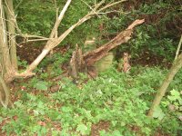 IMG_1720.JPG IMG_1720.JPG