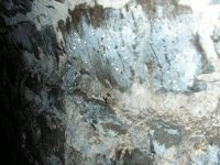 PICT0012.JPG