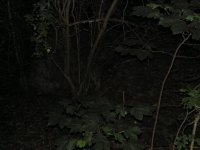 PICT0068.JPG