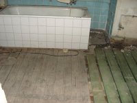 PICT0253.JPG