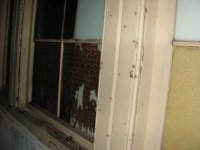 PICT0262.JPG