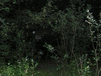 PICT0276.JPG