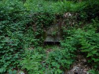 Bild00008.JPG Bild00008.JPG