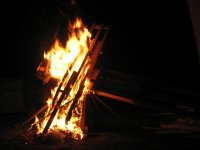 IMG_1435.JPG IMG_1435.JPG