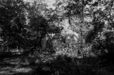 IMG_0008 (Medium).jpg IMG_0008 (Medium).jpg