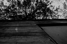 IMG_0012 (Medium).jpg IMG_0012 (Medium).jpg