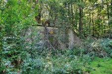 IMG_0013 (Medium).jpg IMG_0013 (Medium).jpg