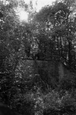 IMG_0014 (Medium).jpg IMG_0014 (Medium).jpg