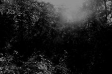 IMG_0024 (Medium).jpg IMG_0024 (Medium).jpg