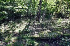 IMG_0038 (Medium).jpg IMG_0038 (Medium).jpg
