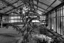 IMG_0040_1_2_tonemapped (Medium).jpg IMG_0040_1_2_tonemapped (Medium).jpg