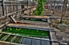 IMG_0106_7_8_tonemapped (Medium).jpg IMG_0106_7_8_tonemapped (Medium).jpg