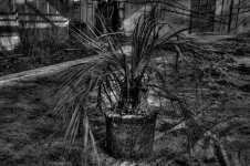 IMG_0151_2_3_tonemapped (Medium).jpg IMG_0151_2_3_tonemapped (Medium).jpg