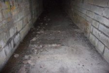 tunnel (5).JPG