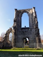 dark-places_klosterruine_walkenried_006.JPG