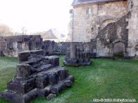 dark-places_klosterruine_walkenried_011.JPG