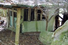 DSC_0335.jpg DSC_0335.jpg