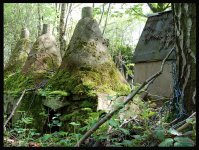 DSC_0220.jpg DSC_0220.jpg