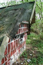 DSC_0219.jpg DSC_0219.jpg