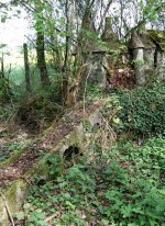 DSC_0221.jpg DSC_0221.jpg