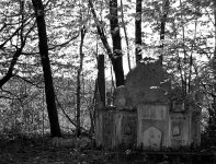 DSC_0245.jpg DSC_0245.jpg