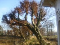 Bild 033.jpg Bild 033.jpg