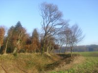 Bild 010.jpg Bild 010.jpg